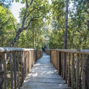 Pont pour rejoindre les cabanes perchées