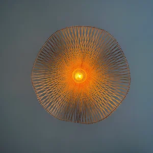 Luminaire