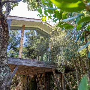 Vue extérieur de la cabane perchée dans les arbres proche de Porto vecchio et ses plages Santa Giula et Palombaggia