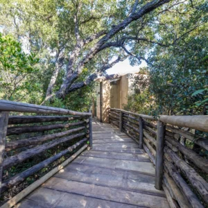 Pont en bois pour rejoindre la cabane
