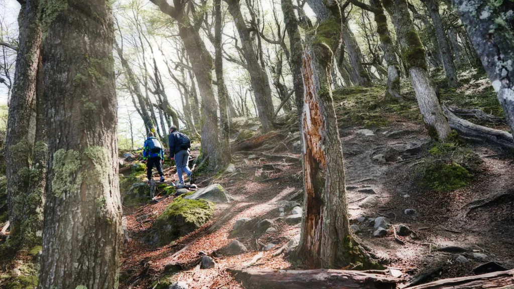 Deux hommes faisant une randonnée dans la forêt de l'ospedale en Corse.