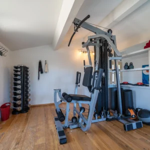 Machine pour le dos et pecs