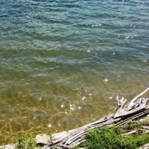 L'eau au bord du lac de tolla.
